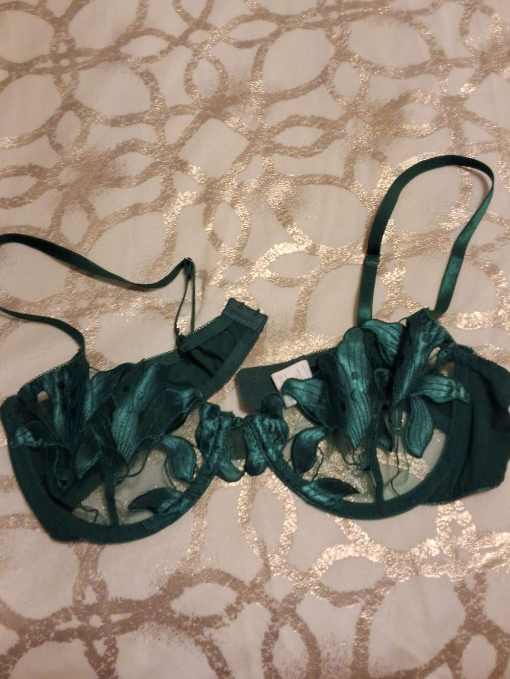 Sheer Embroidered Underwire Bra - Emerald Green